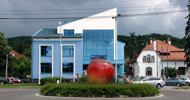Allianz-Tiriac Asigurari Office Partener Salus Insurance Srl Bistrita