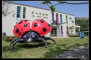 Chiayi University’s Insect Museum image