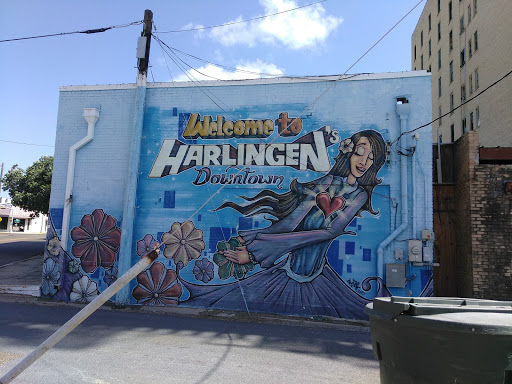 Liquor Store «Feldmans Liquor & Wines», reviews and photos, 116 W Van Buren Ave, Harlingen, TX 78550, USA