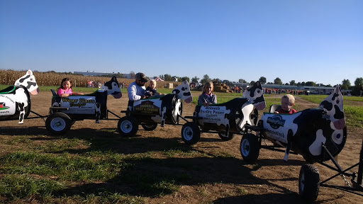 Tourist Attraction «Shipshewana Corn Maze», reviews and photos, 505 Morton St, Shipshewana, IN 46565, USA