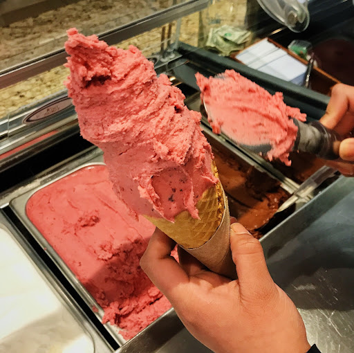 Ice Cream Shop «FRÍO Gelato - 517 Dempster, Evanston», reviews and photos, 517 Dempster St, Evanston, IL 60201, USA