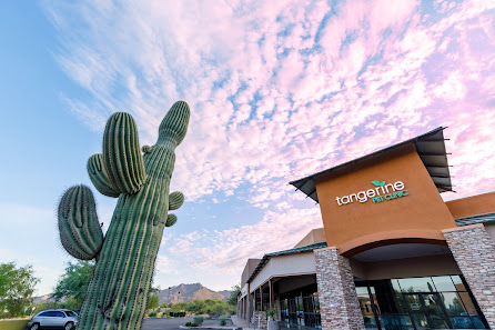 Tangerine Pet Clinic 12090 N Thornydale Rd Suite104, Marana, AZ 85658, Estados Unidos