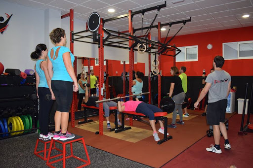 DLFitness en Albatera, Alicante