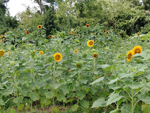 Museum «East Jersey Old Town Village», reviews and photos, 1050 River Rd, Piscataway Township, NJ 08854, USA