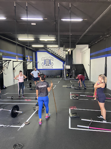 CrossFit Minimal en Parla, Madrid