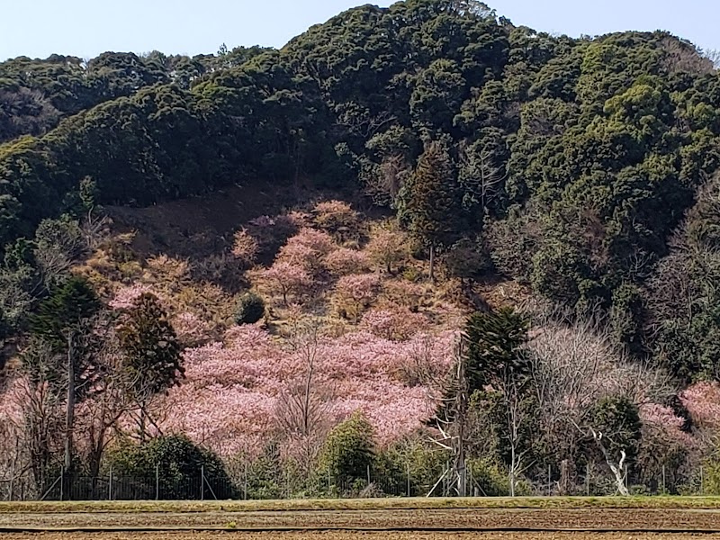 旅名集落センター