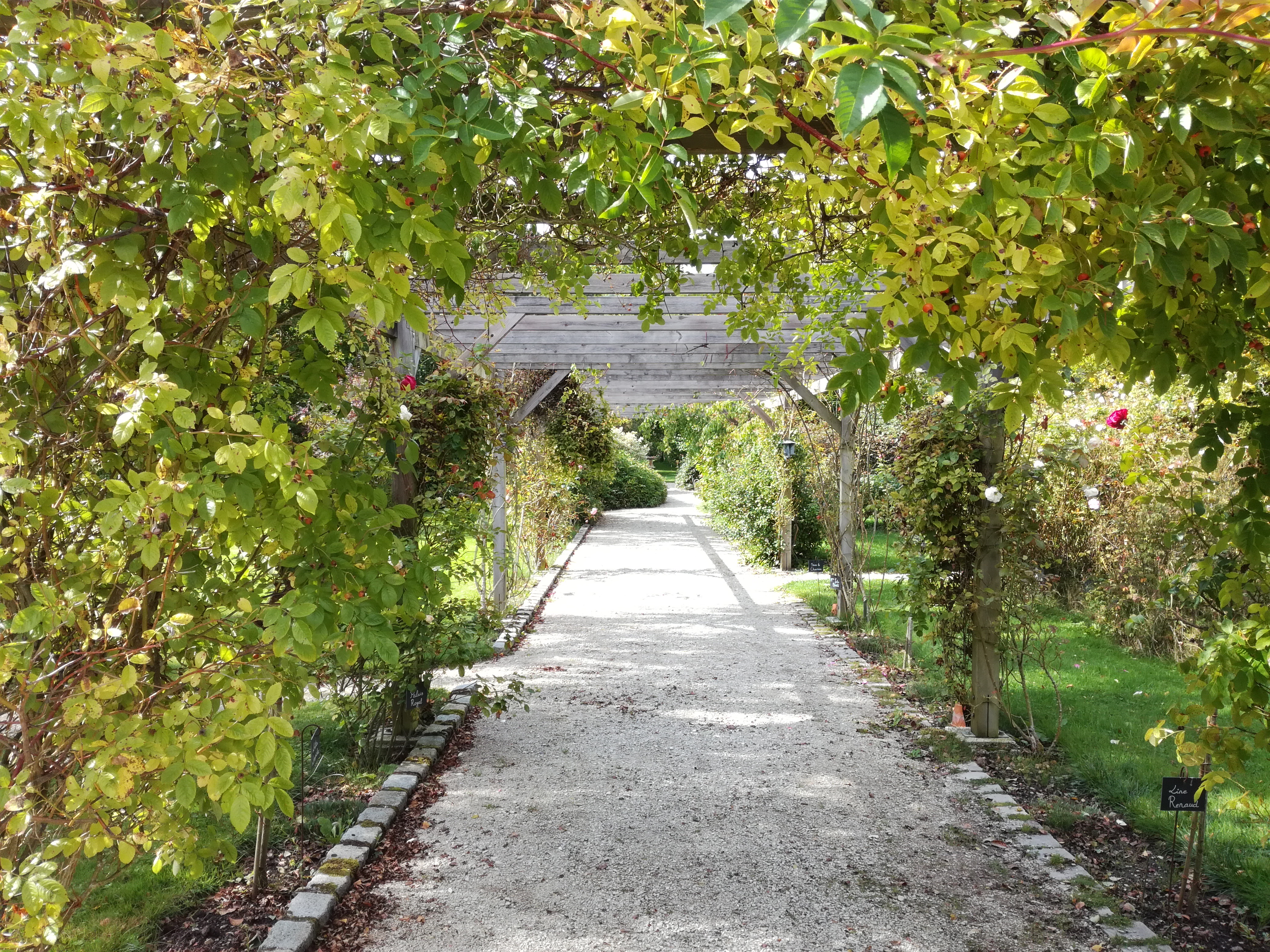 Photo n° 1 de l'avis de Damien.O fait le 16/09/2017 à 16:10