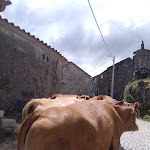 Photo n°17 de l'avis de António.o fait le 12/06/2023 à 04:52 sur le  Casa Albelo do Geres à Outeiro