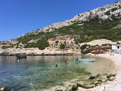 Calanque de Marseilleveyre'in fotoğrafı çok temiz temizlik seviyesi ile