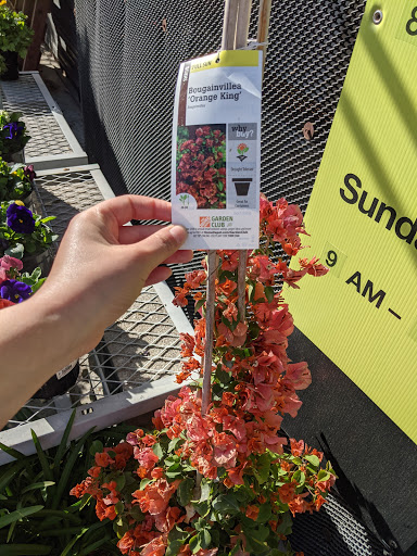 Home Improvement Store «The Home Depot», reviews and photos, 601 Woollomes Ave, Delano, CA 93215, USA