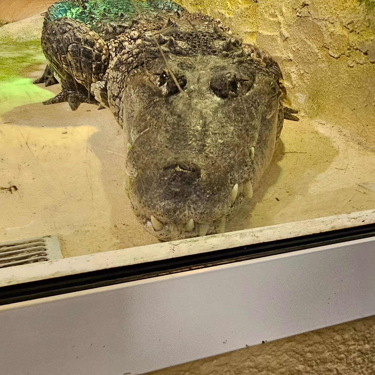 Photo n° 11 de l'avis de luderw. fait le 27/07/2023 à 15:56