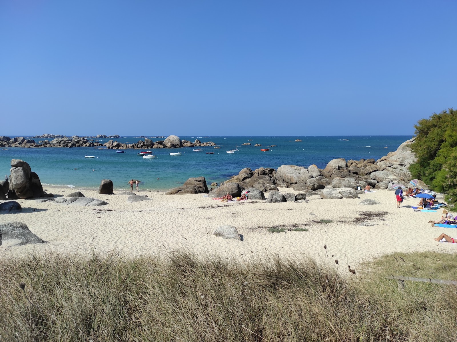 Plage du Phare'in fotoğrafı vahşi alan