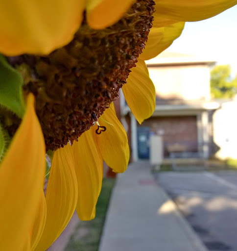 Thrift Store «St Vincent De Paul Society», reviews and photos