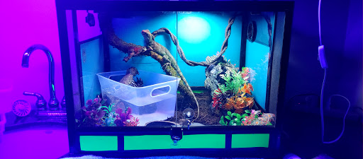 Pet Supply Store «PetSmart», reviews and photos, 6650 N Durango Dr, Las Vegas, NV 89149, USA