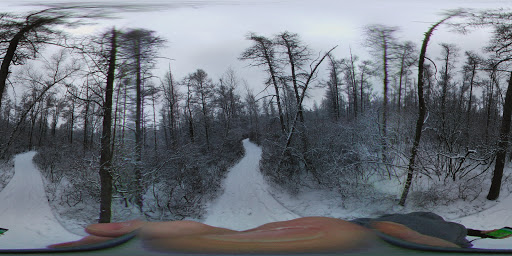 Nature Preserve «Tom S Cooperrider-Kent Bog State Nature Preserve», reviews and photos, 1028 Meloy Rd, Kent, OH 44240, USA