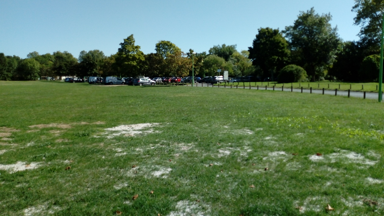 Photo n° 44 de l'avis de Delbart.e fait le 29/09/2019 à 12:17