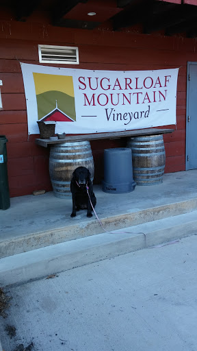 Winery «Sugarloaf Mountain Vineyard», reviews and photos, 18125 Comus Rd, Dickerson, MD 20842, USA
