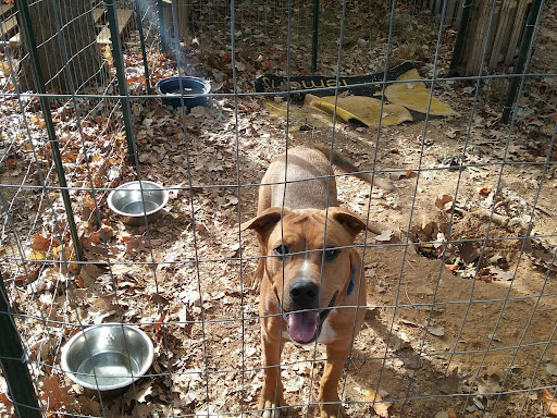 Humane Society-Davidson County