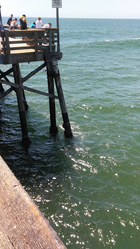 Fishing Pier «Newport Beach Pier», reviews and photos, 70 Newport Pier, Newport Beach, CA 92663, USA