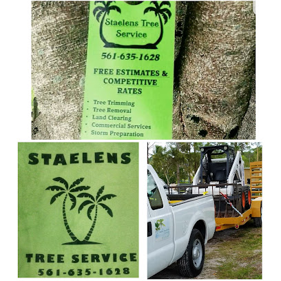 Staelens Tree Service