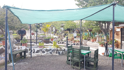 Información y opiniones sobre Finca Pepe de Güímar