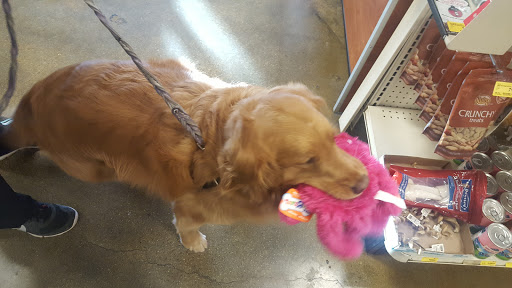 Pet Supply Store «PetSmart», reviews and photos, 19320 Nordhoff Way, Northridge, CA 91324, USA