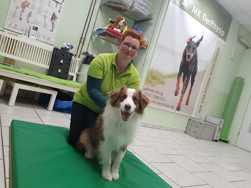Tierarztpraxis Kaltenbrunn unter Wolfsburg, Niedersachsen
