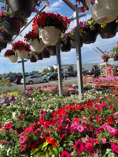 Home Improvement Store «The Home Depot», reviews and photos, 300 Thruway Plaza Dr, Cheektowaga, NY 14225, USA