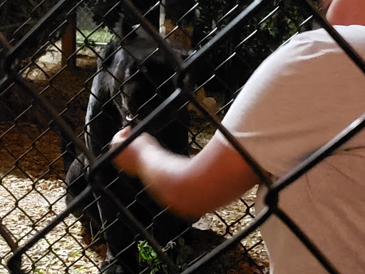 Tourist Attraction «Panther Ridge Conservation Center», reviews and photos, 14755 Palm Beach Point Blvd, Wellington, FL 33414, USA