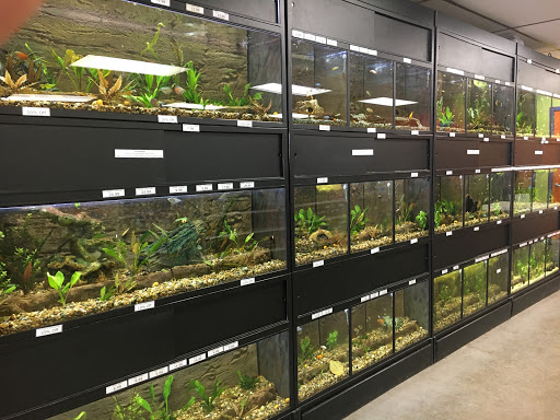 Pet Store «Tye-Dyed Iguana - Reptiles», reviews and photos, 1905 W U.S. 50, Fairview Heights, IL 62208, USA