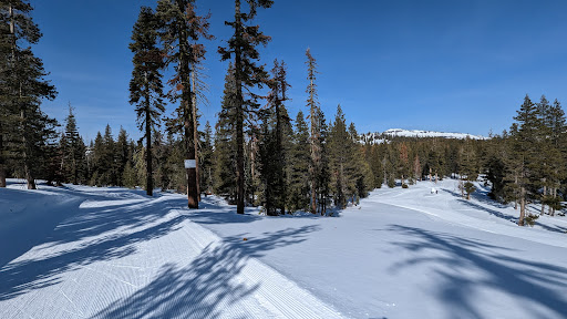 Royal Gorge Cross Country Ski Resort