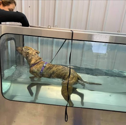 Hot Diggity Dog Canine Water Fitness