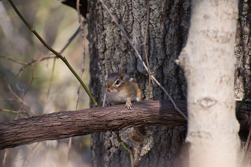 Nature Preserve «Flat Rock Brook Nature Center», reviews and photos, 443 Van Nostrand Ave, Englewood, NJ 07631, USA