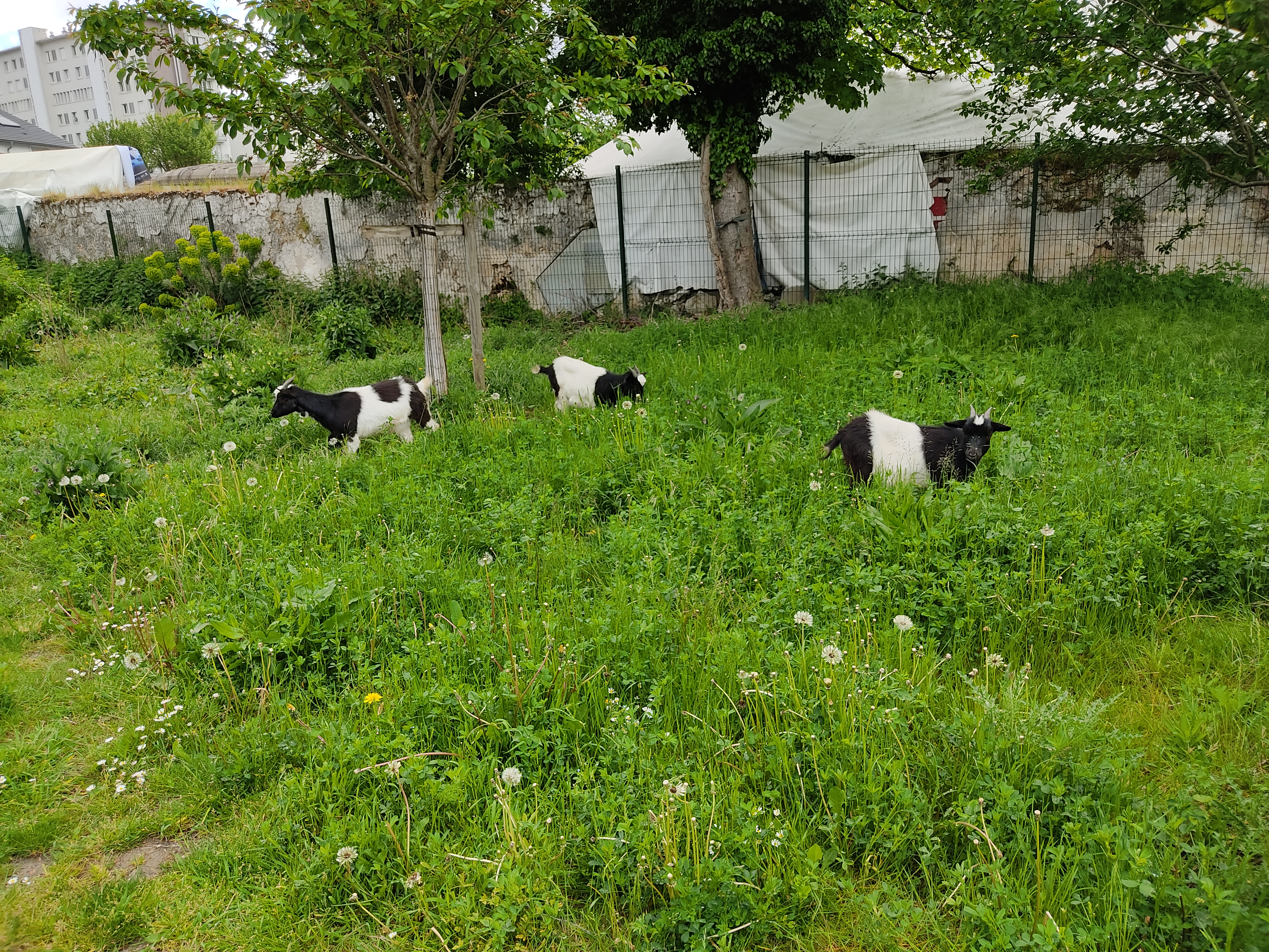 Photo n° 6 de l'avis de Sofaye.o fait le 15/05/2021 à 14:30