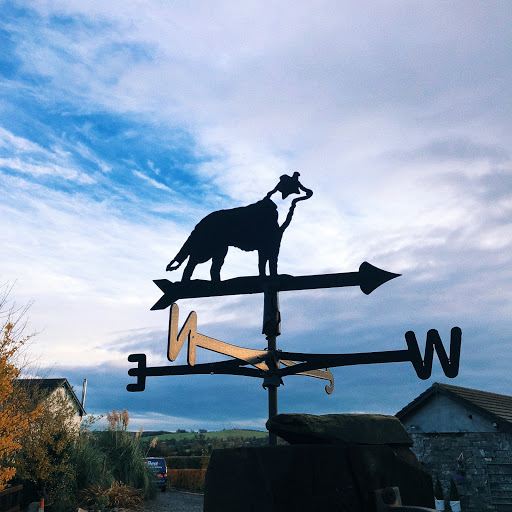 Best Kennels & Cattery