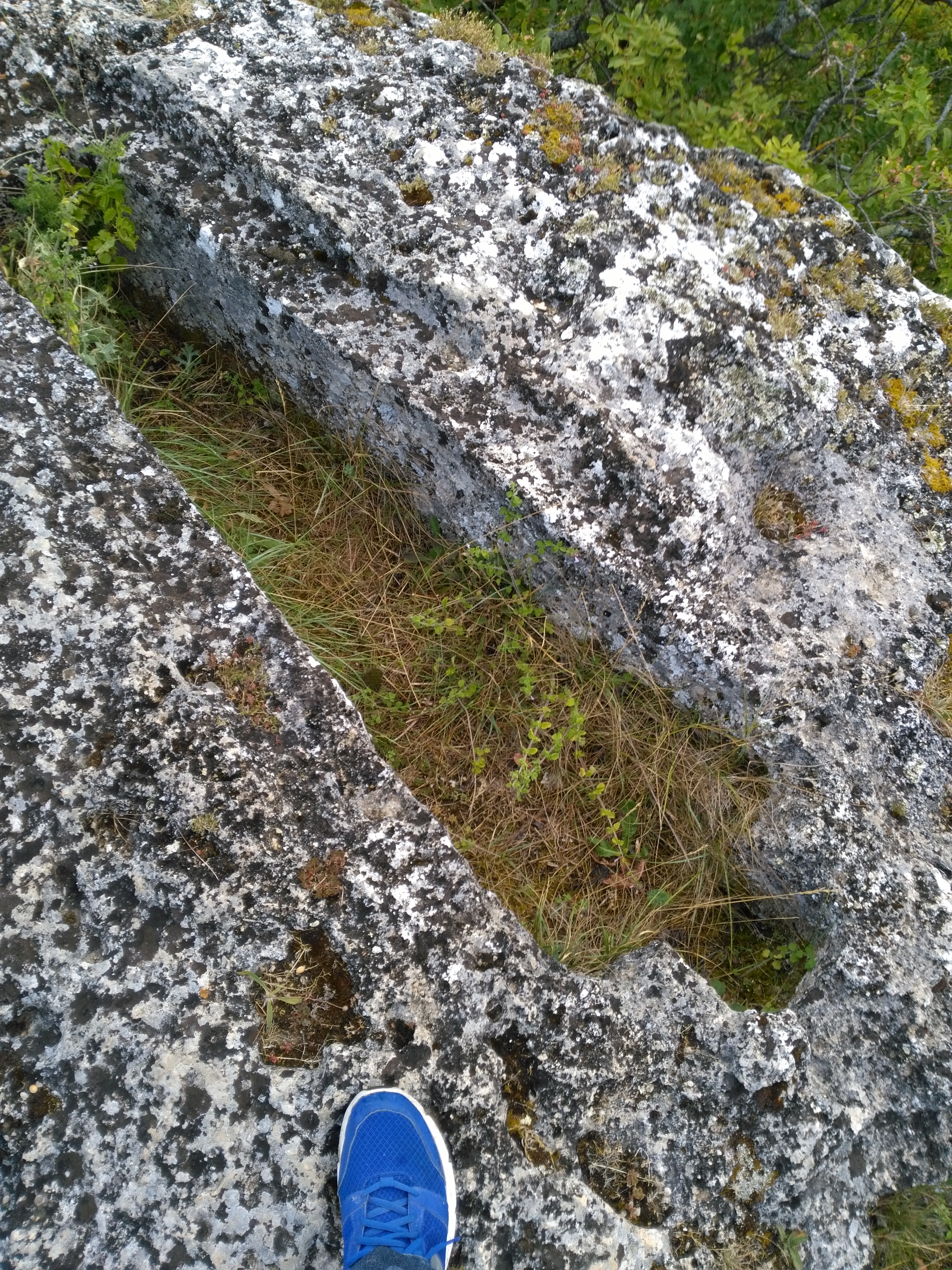 Photo n° 8 de l'avis de philippe.a fait le 18/08/2017 à 07:21