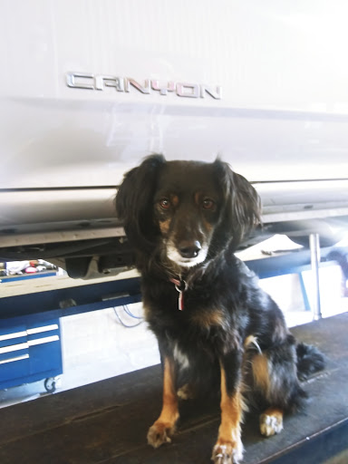 Canyon Lake Muffler image