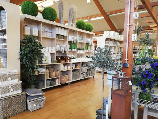 Lojas para comprar plantas de interior Oporto