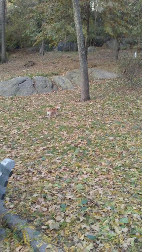 National Park «Hamilton Grange National Memorial», reviews and photos, 414 W 141st St, New York, NY 10031, USA