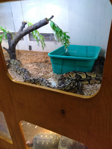 Pet Store «Forever Pets Inc», reviews and photos, 1030 Basse Rd, San Antonio, TX 78212, USA