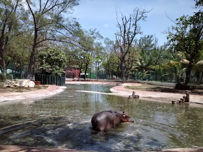 Zoológico Municipal Carmen