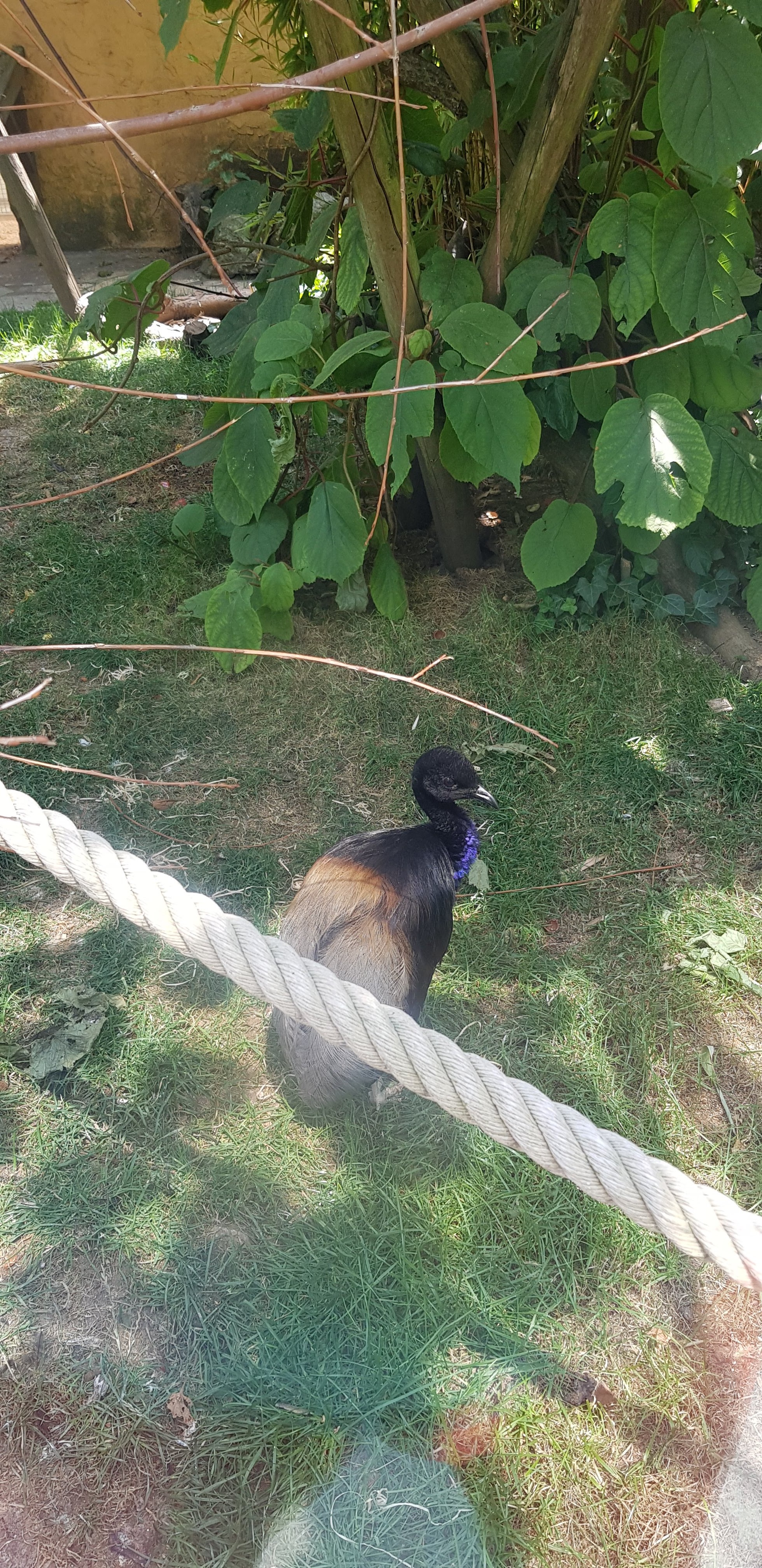 Photo n° 29 de l'avis de Nuk3d.t fait le 13/10/2019 à 18:58