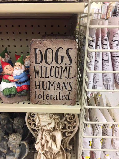 Craft Store «Hobby Lobby», reviews and photos, 1420 Gemini Pl, Columbus, OH 43240, USA