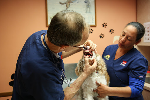 South Kendall Animal Hospital image