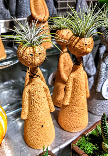 Grocery Store «Metropolitan Market Sand Point», reviews and photos, 5250 40th Ave NE, Seattle, WA 98105, USA