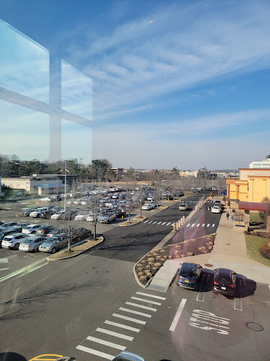 Movie Theater «AMC Roosevelt Field 8», reviews and photos, 630 Old Country Rd, Garden City, NY 11530, USA