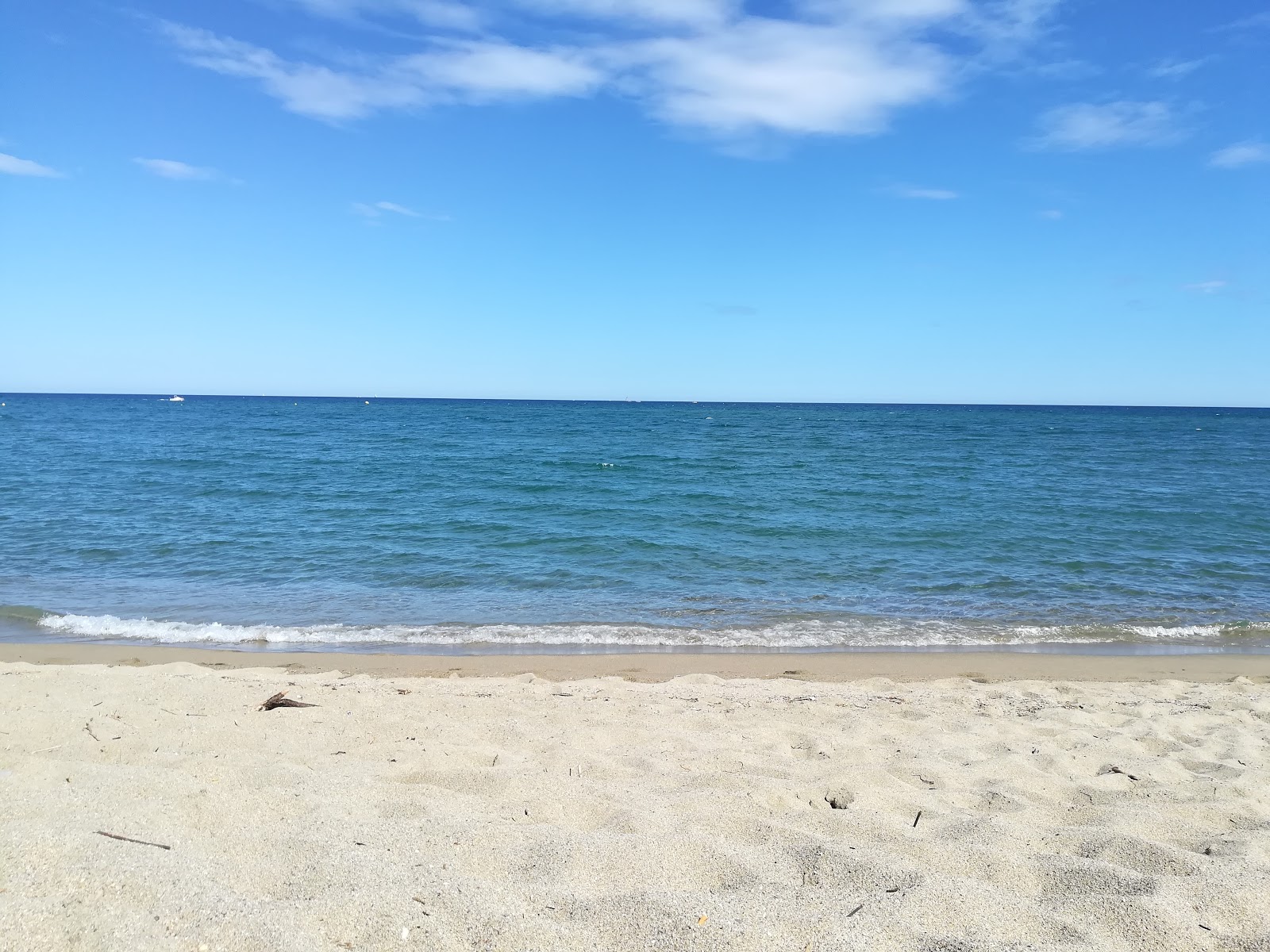 Fotografija Torreilles beach z turkizna čista voda površino