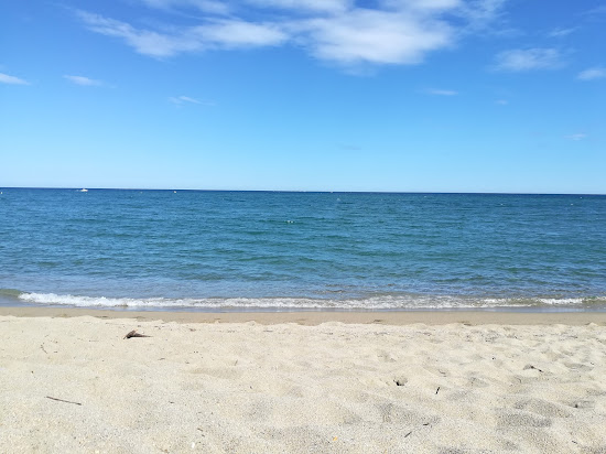Torreilles beach