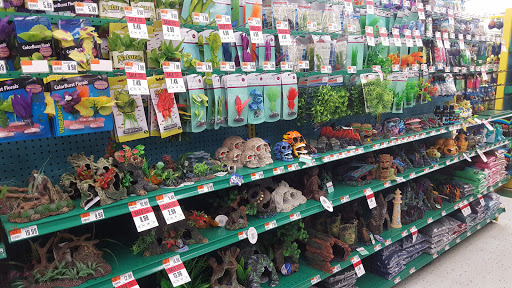 Pet Supply Store «Pet Supplies Plus», reviews and photos, 4405 Milestrip Rd, Blasdell, NY 14219, USA