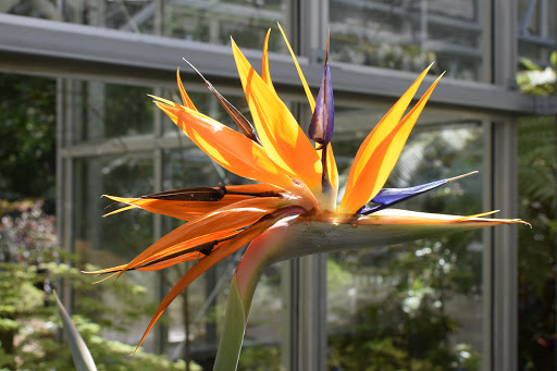 Botanical Garden «Rhododendron Species Botanical Garden», reviews and photos, 2525 S 336th St, Federal Way, WA 98003, USA